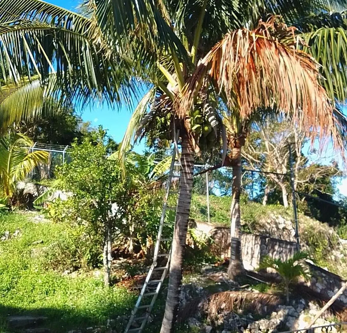 蒙特哥贝 Bayview Luxury Retreat酒店 招待所